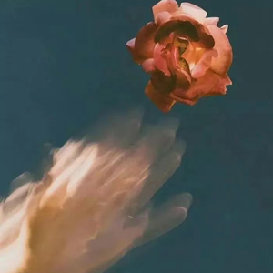 瓜老师的笔记亲妹妹想法
